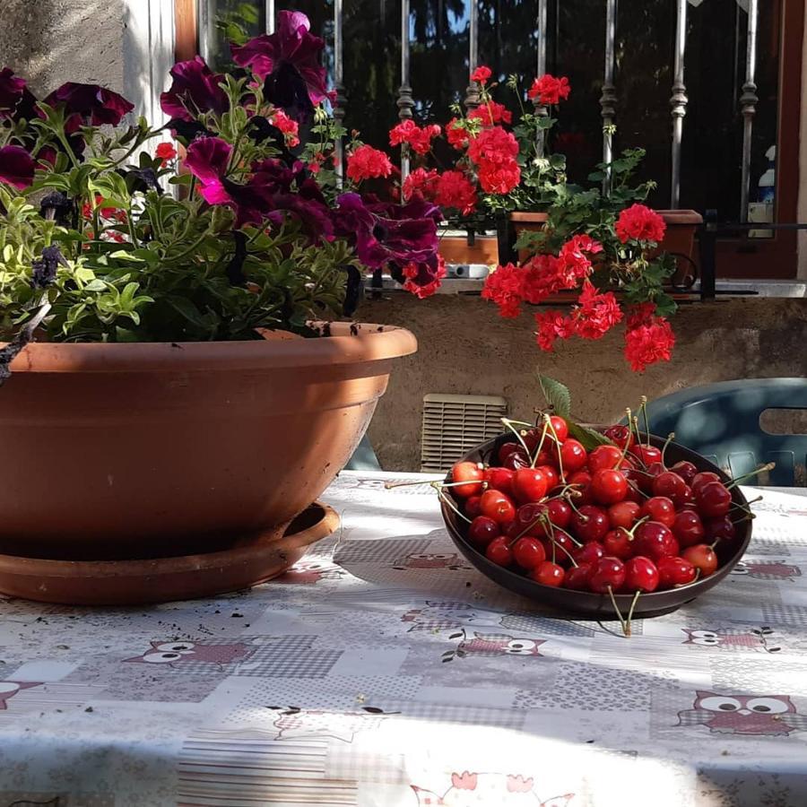 B&B Mamma Ari Fermo Exterior photo